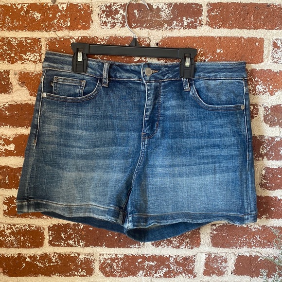 Judy Blue Pants - Judy Blue High Rise Denim Shorts